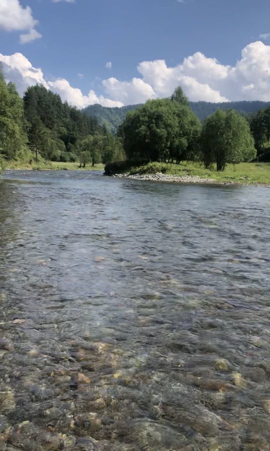 земля р-н Чемальский с Уожан ул Заречная Онгудай фото 7