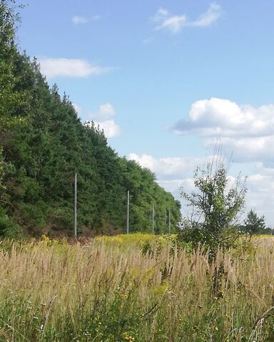 земля Карачевское городское поселение, Западный мкр-н фото