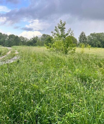 земля д Трегубово ул Прибрежная городской округ Коломна фото