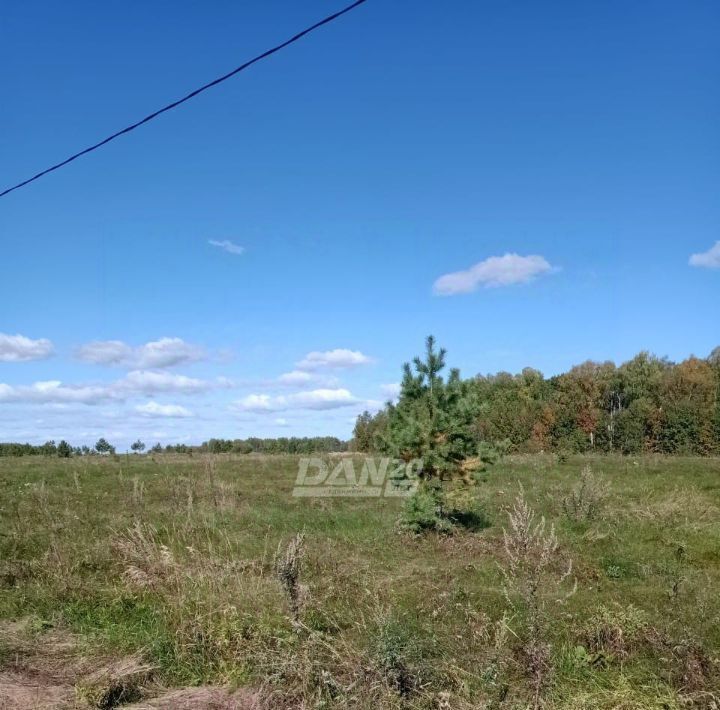 земля р-н Аргаяшский Дербишевское с/пос, Оазис кп, ул. Чувственная фото 17