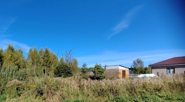 Переславль-Залесский городской округ фото