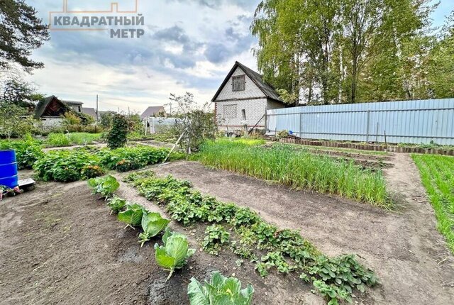 общество Черемшан, городской округ Димитровград фото