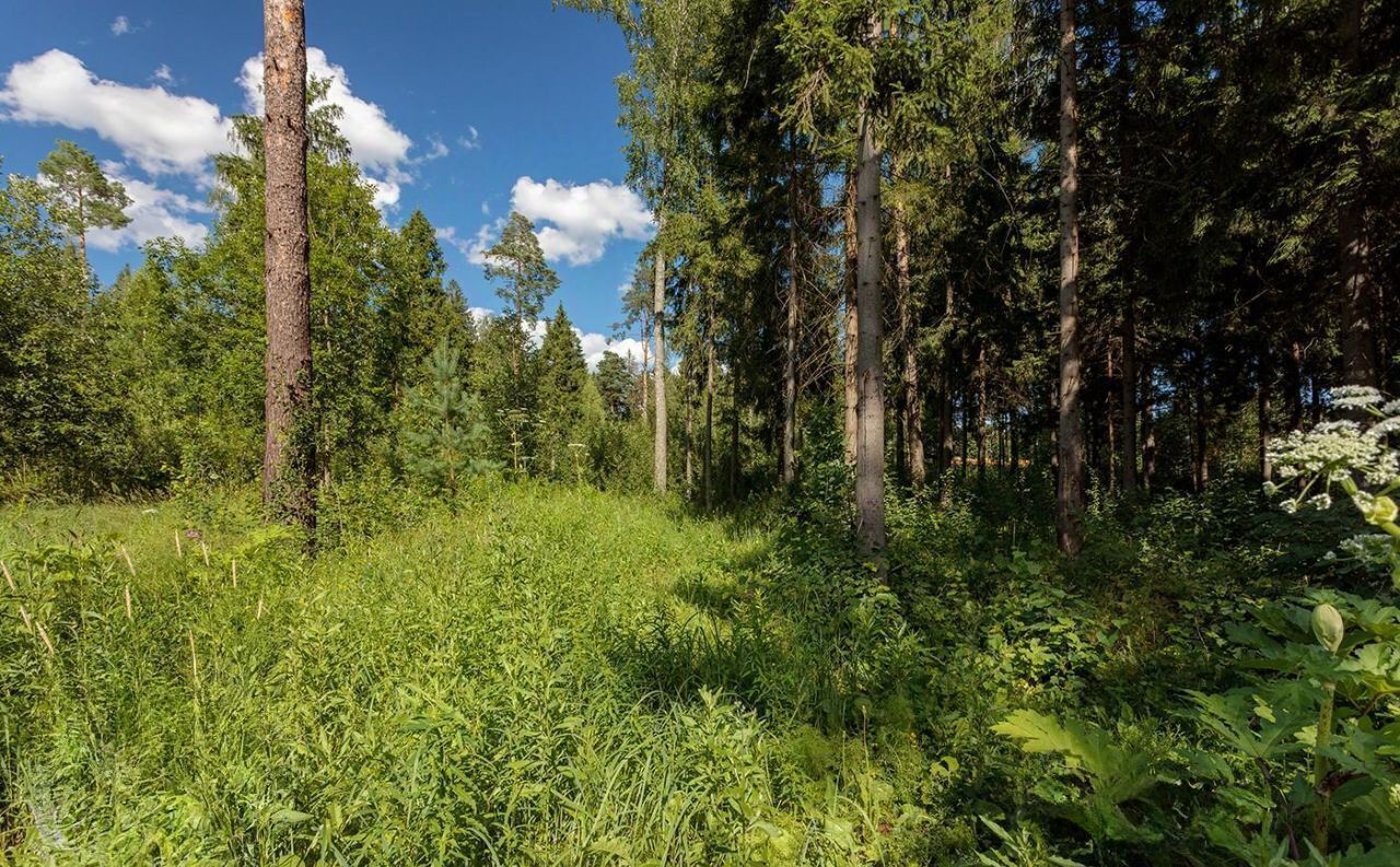 земля городской округ Истра д Андреевское 35 км, Истра, Волоколамское шоссе фото 1