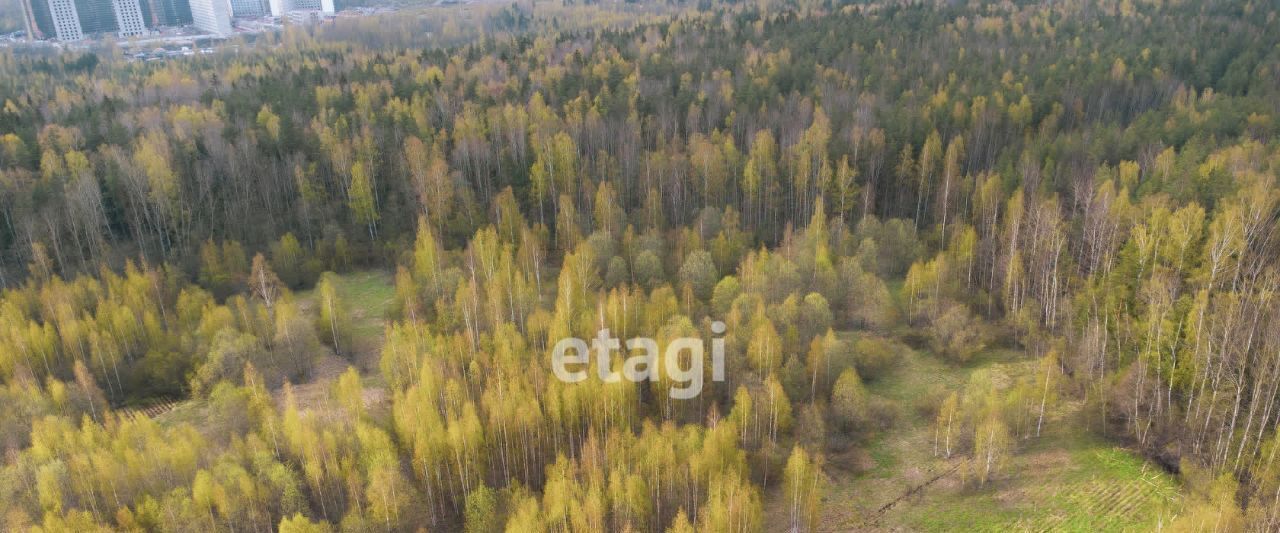 земля р-н Всеволожский Янино-1 городской поселок, Ладожская фото 12