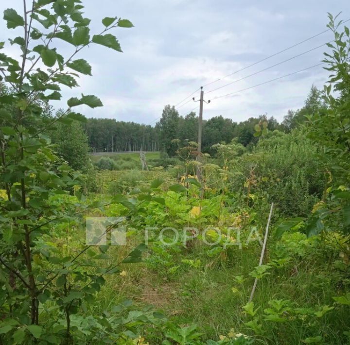 земля городской округ Рузский с Никольское фото 5