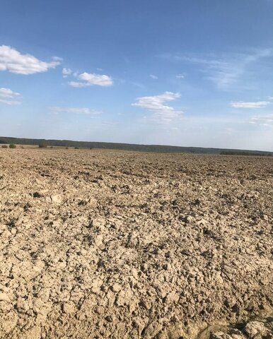 городской округ Коломенский с Васильево 96 км, Коломна, Новорязанское шоссе фото