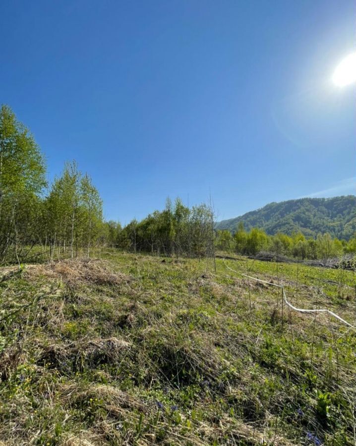 земля р-н Майминский с Озерное ул Центральная Горно-Алтайск фото 14