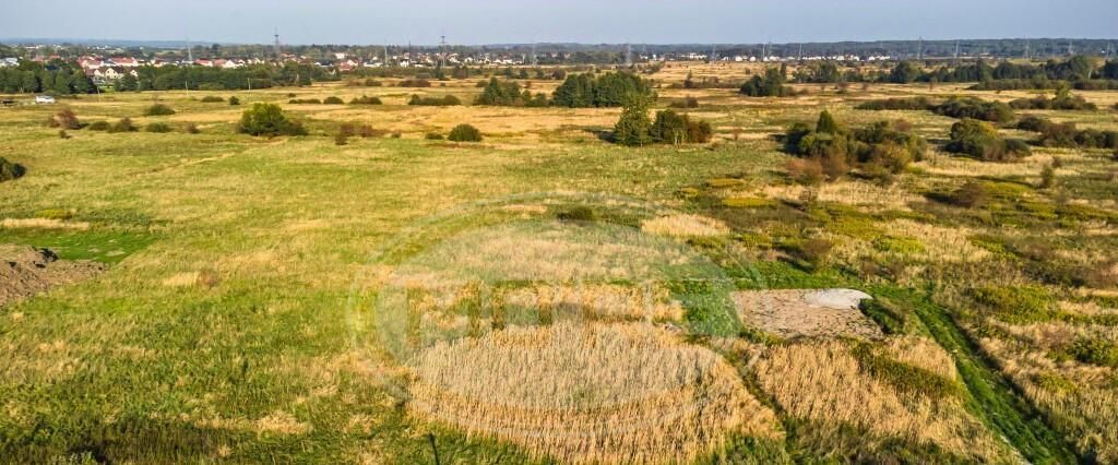 земля р-н Гурьевский п Рощино ул Московская 8 фото 28