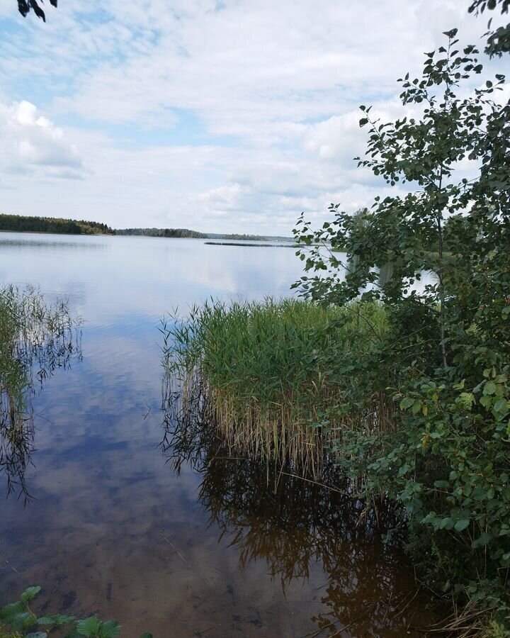 земля р-н Окуловский с Берёзовик Березовикское сельское поселение, Окуловка фото 12