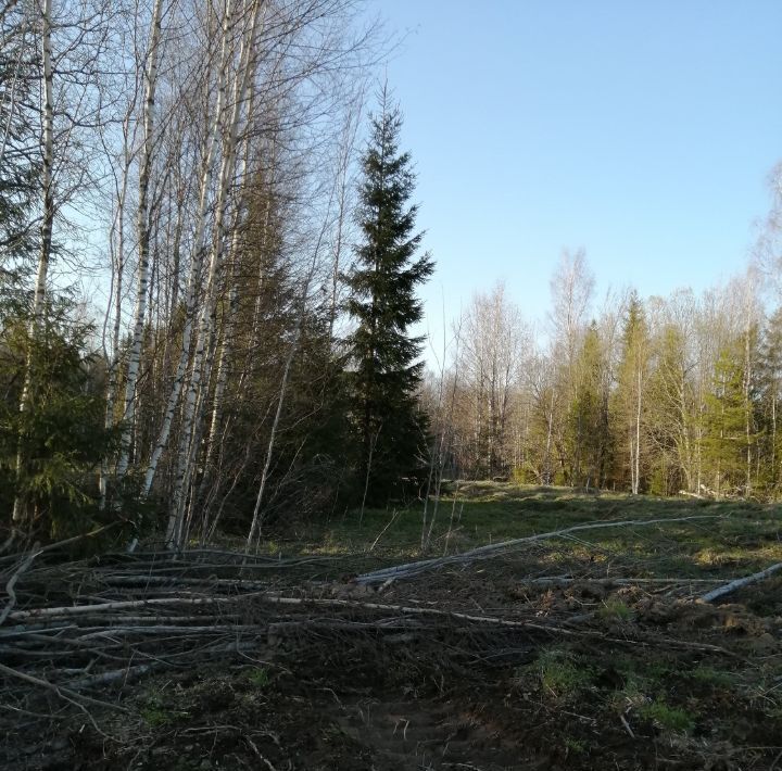 земля р-н Валдайский д Малое Городно Ивантеевское с/пос фото 11