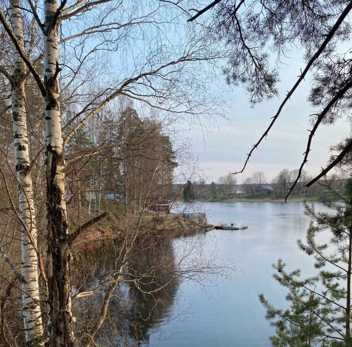 земля р-н Гатчинский Вырица городской поселок, просп. Суворовский, 21 фото 2