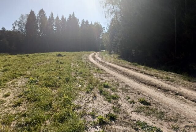 сельское поселение Высокиничи, деревня Каньшино фото