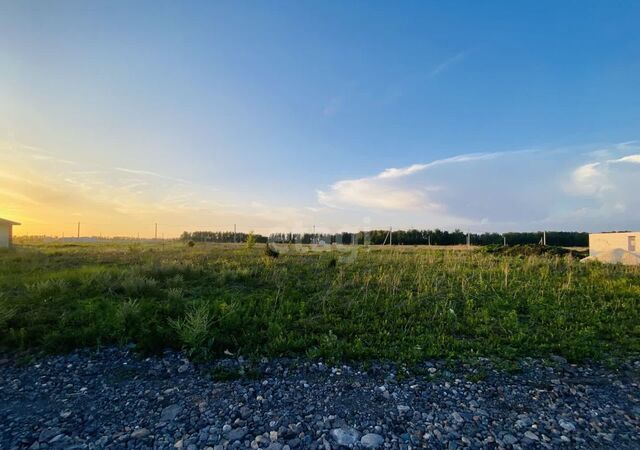 земля с Хлевное Ново-Дубовский сельсовет фото