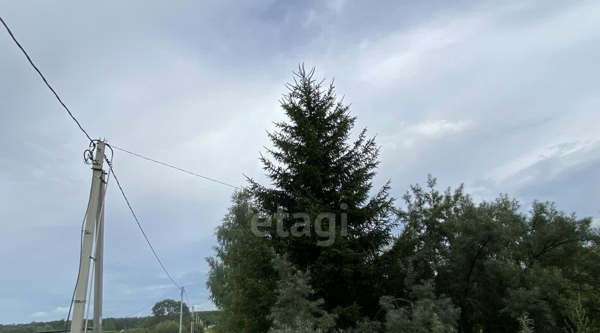 земля г Электросталь снт Дубок 169, Коломна городской округ фото 10