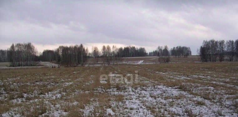 земля р-н Альметьевский г Альметьевск ул Полевая городское поселение Альметьевск фото 1