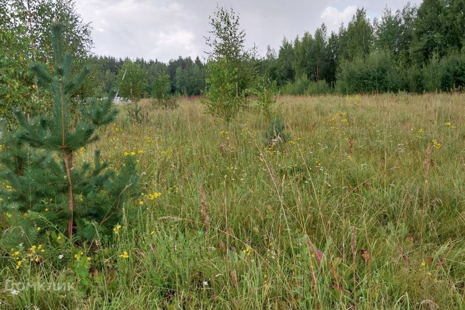 земля р-н Всеволожский фото 1