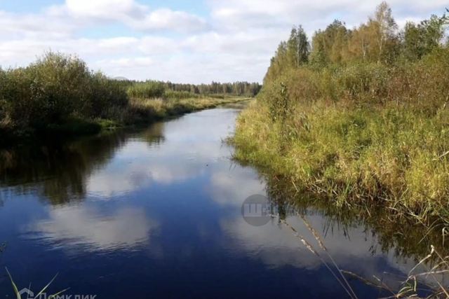 деревня Коккорево фото