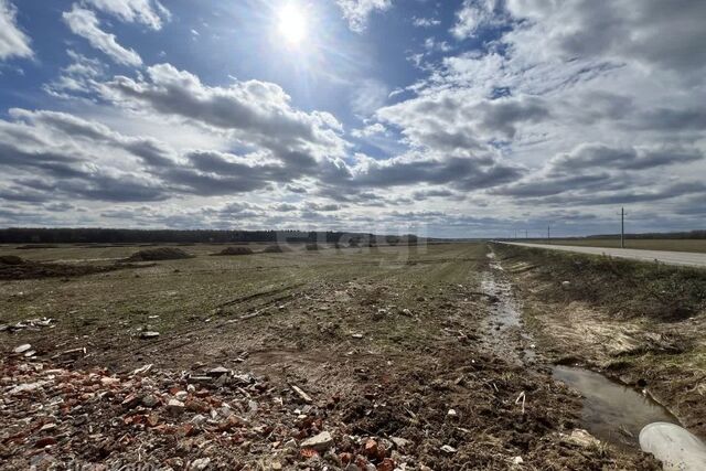 земля деревня Шишкино Растуновский административный округ фото