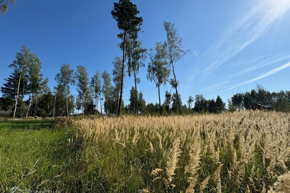 земля городской округ Раменский коттеджный посёлок Гжельский лес, 41 фото 1