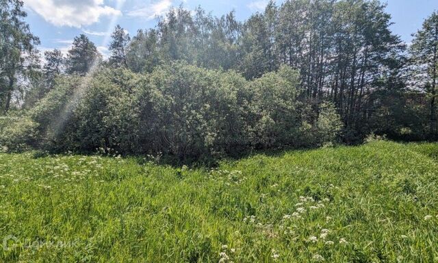 земля Северный район, Раменский городской округ фото