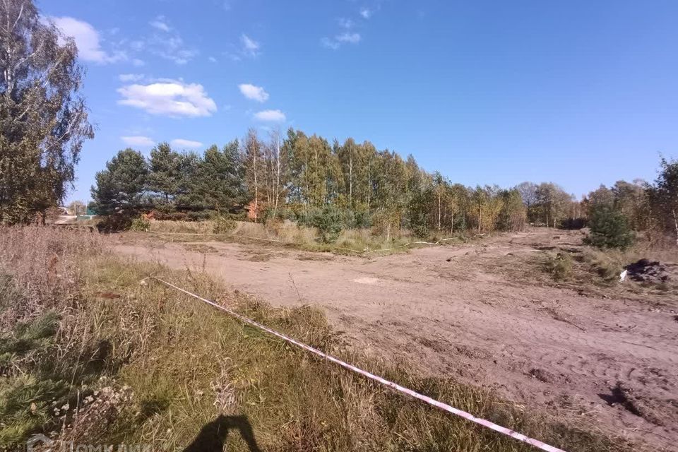 земля городской округ Богородский деревня Калитино фото 3