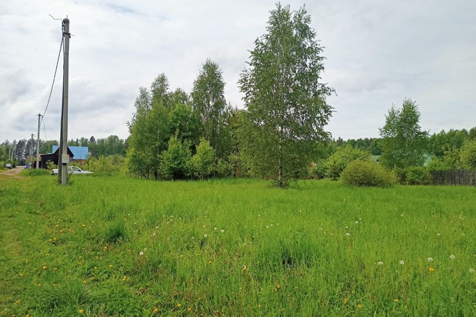 земля городской округ Егорьевск садовое товарищество Афганец фото 3