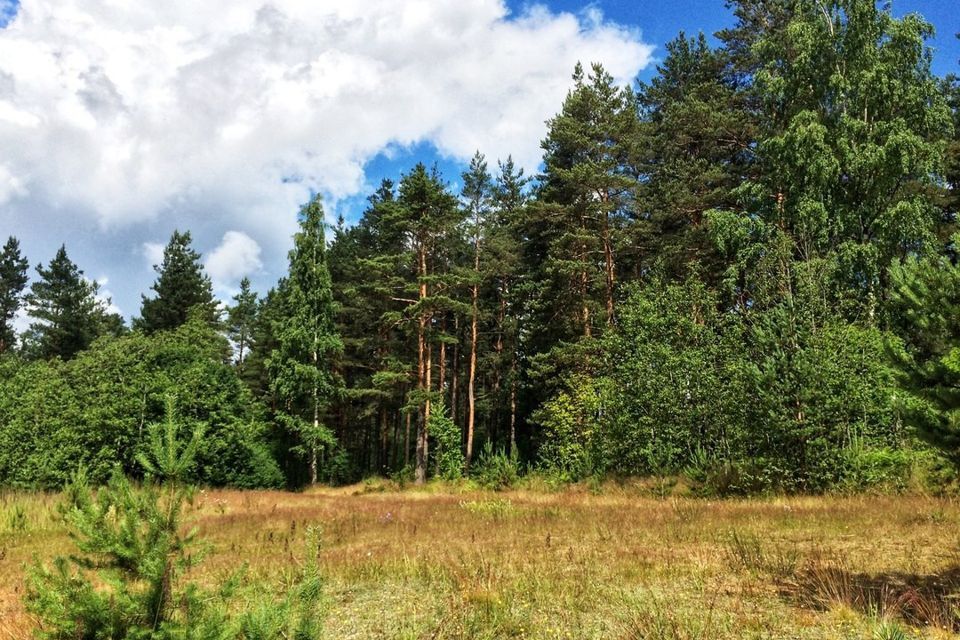 земля р-н Приозерский деревня Снегирёвка фото 3