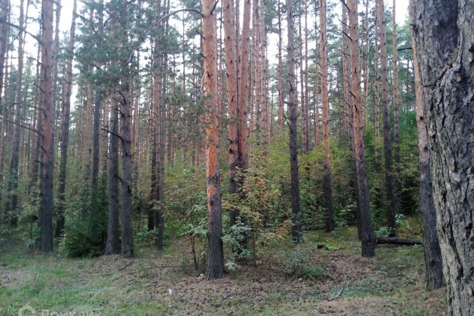 земля р-н Всеволожский посёлок Дунай фото 1