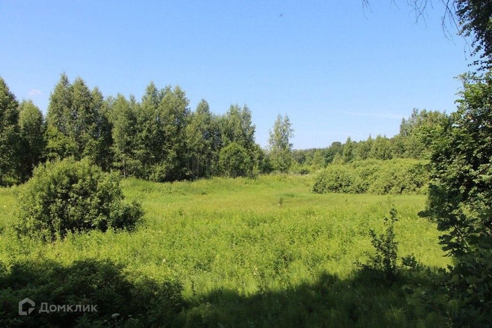 земля городской округ Богородский фото 3