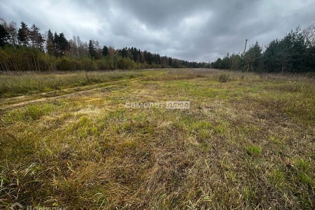 городской округ Павловский Посад д Логиново 54 фото