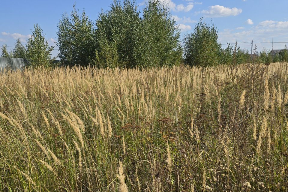 земля городской округ Воскресенск Городище-1 фото 4