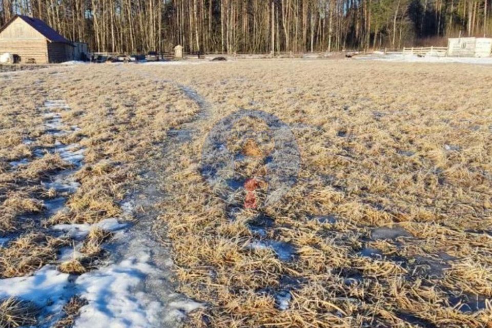 земля р-н Приозерский фото 2