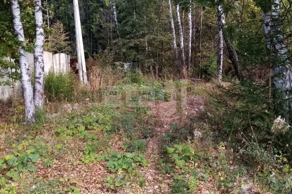 земля городской округ Чехов деревня Углешня фото 3