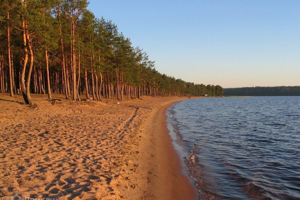 земля р-н Выборгский фото 2