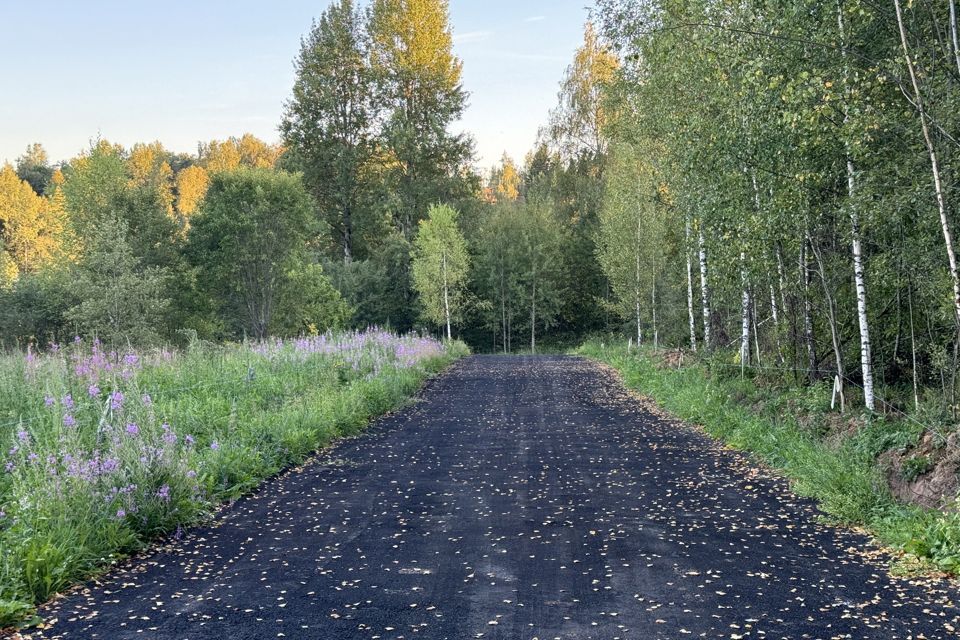 земля городской округ Дмитровский деревня Шадрино фото 10