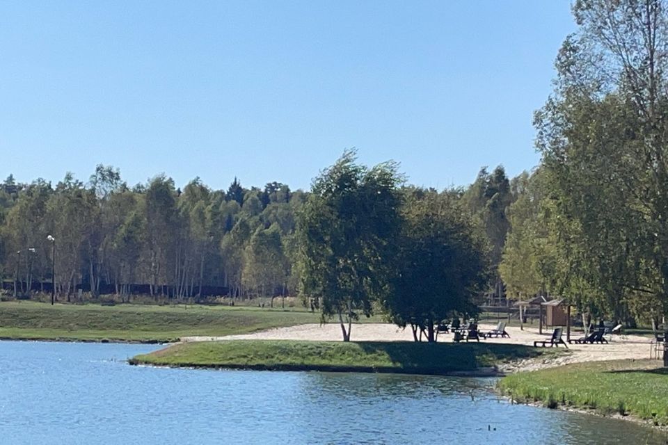 земля городской округ Ступино село Мышенское фото 6