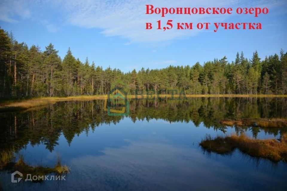 земля р-н Выборгский фото 7