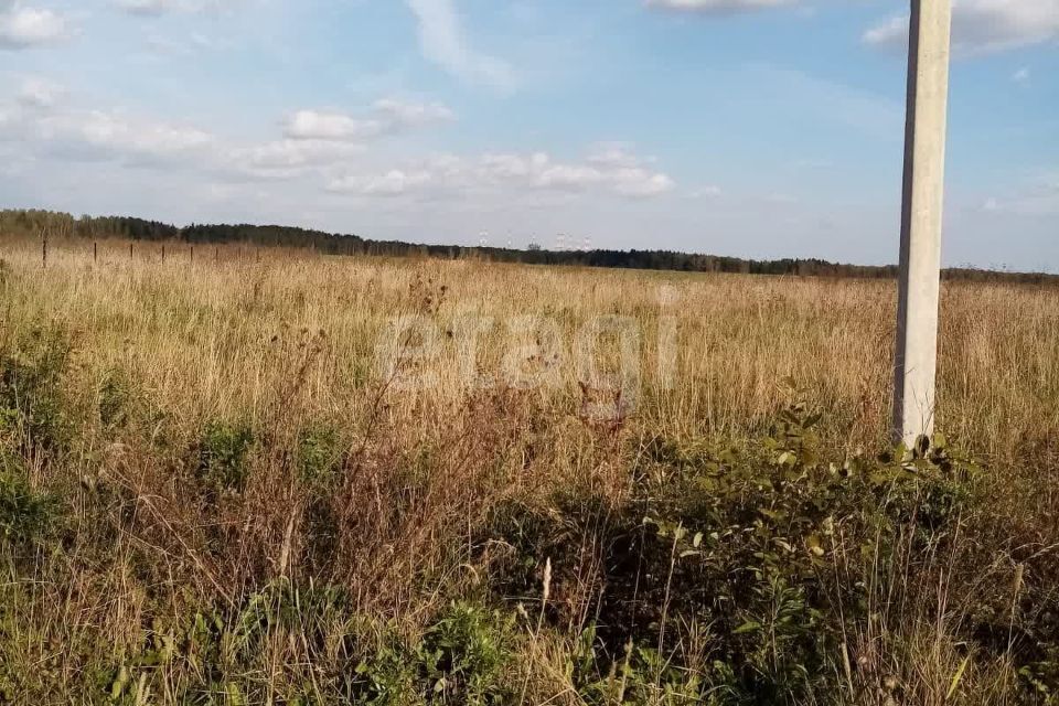 земля городской округ Чехов с Молоди ул Луговая 46 фото 6