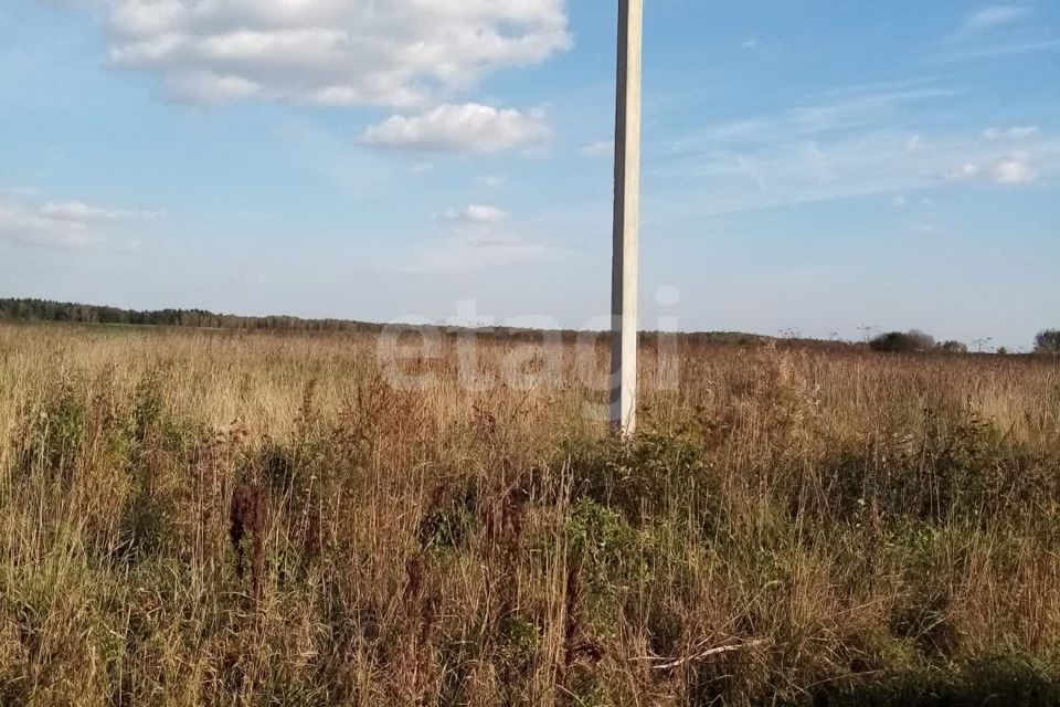 земля городской округ Чехов с Молоди ул Луговая 46 фото 10