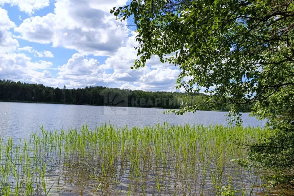 земля р-н Приозерский ДЭК Орехово-Северное ДПК Борки, 471 фото 5