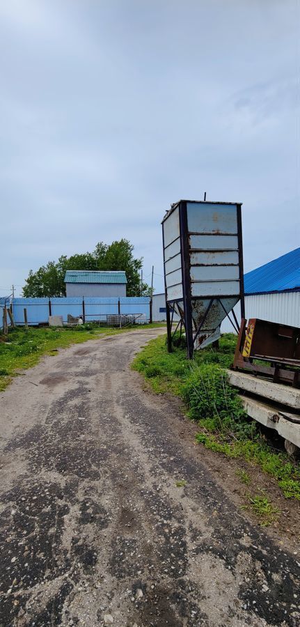 свободного назначения городской округ Орехово-Зуевский д Новая 43, Ликино-Дулево фото 12