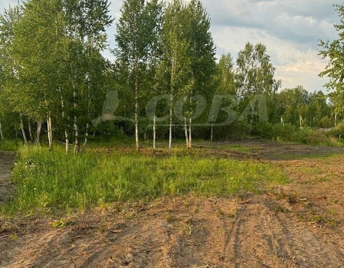 земля р-н Тюменский д Головина фото 2