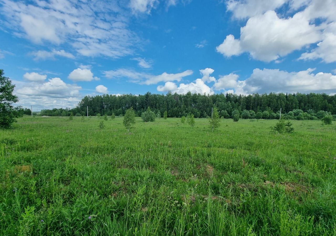 земля городской округ Можайский 9814 км, коттеджный пос. Рублёво, Можайск, Минское шоссе фото 11