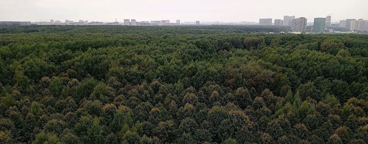 квартира г Москва метро Тропарёво ул Академика Анохина 58к/1 муниципальный округ Тропарёво-Никулино фото 13