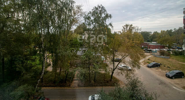 квартира г Нижний Новгород р-н Автозаводский Парк культуры ул Веденяпина 25 фото 20