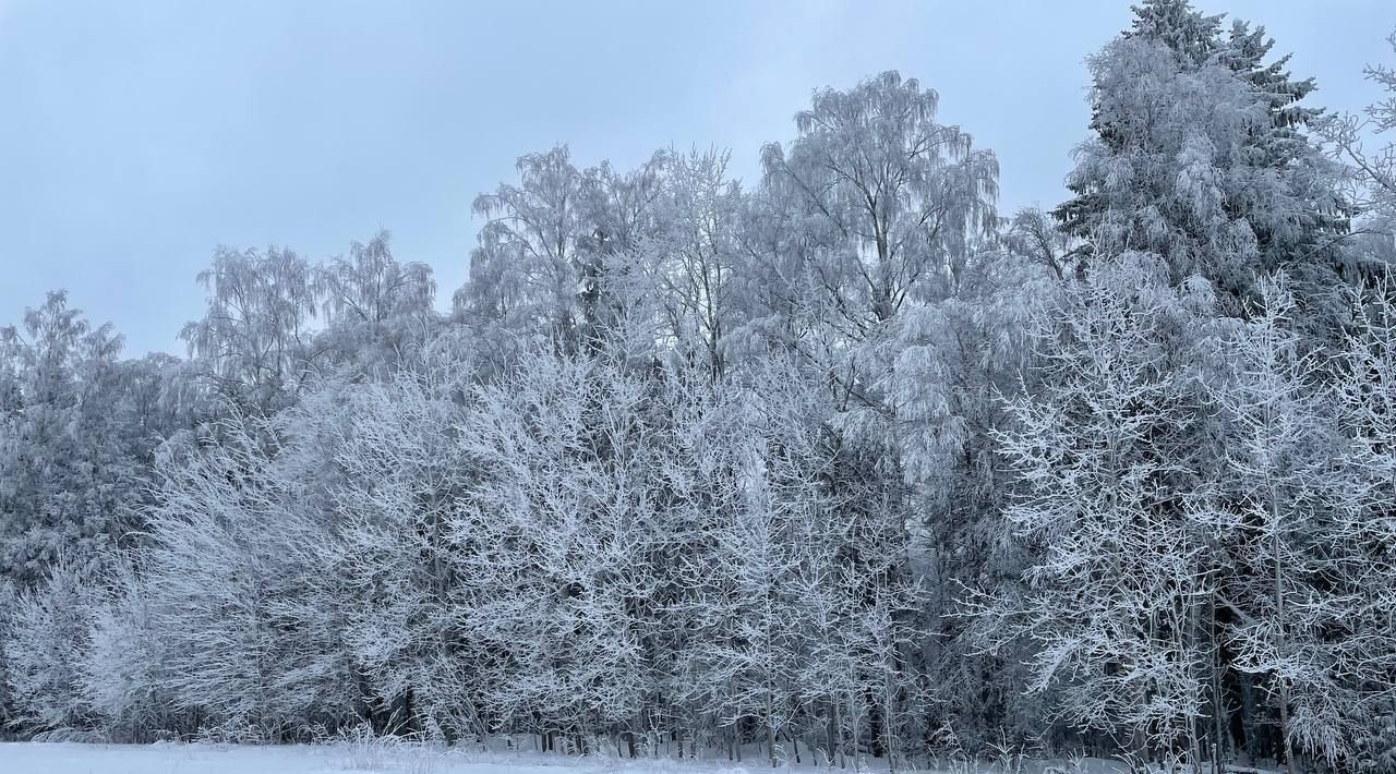 дом городской округ Солнечногорск д Дулепово фото 36