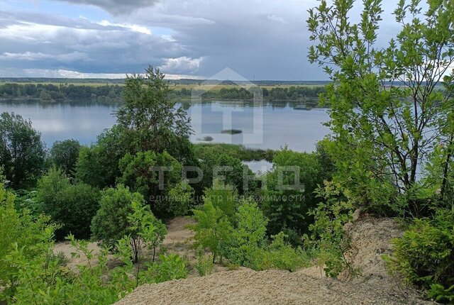 д Воронино ул Заовражная Лопухинское сельское поселение фото