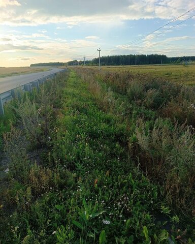 земля Краснопольское сельское поселение, Челябинск фото