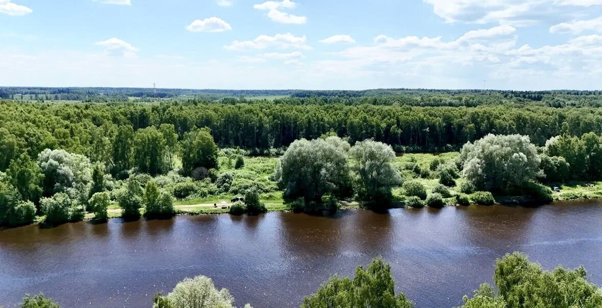 земля городской округ Мытищи д Протасово 9748 км, коттеджный пос. Виталенд, Марфино, Дмитровское шоссе фото 5