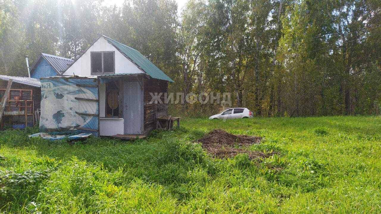 дом р-н Новосибирский Экспериментатор территория снт фото 3